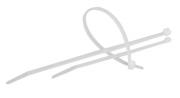 obrazek161